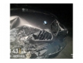 宝马宝马X52011款 xDrive35i 豪华型