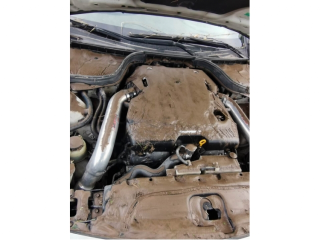 英菲尼迪英菲尼迪G系2010款 G37 Sedan