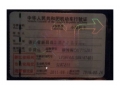 福特嘉年华2011款 两厢 1.5L 自动运动型