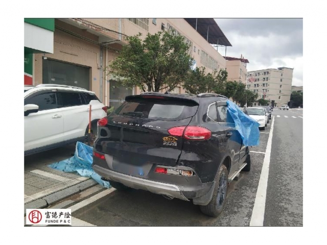 猎豹汽车猎豹CS10猎豹CS10 2017款 2.0T 自动都市型