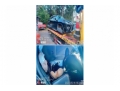 雷克萨斯雷克萨斯RX雷克萨斯RX 2016款 450h 四驱豪华版