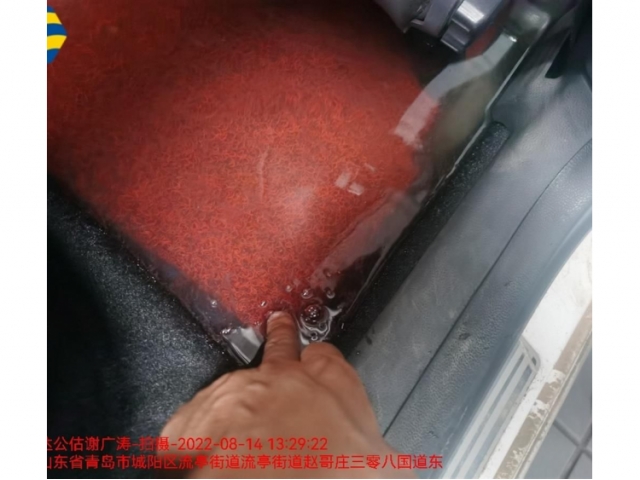 大众朗逸2014款 1.4TSI DSG 30周年纪念版