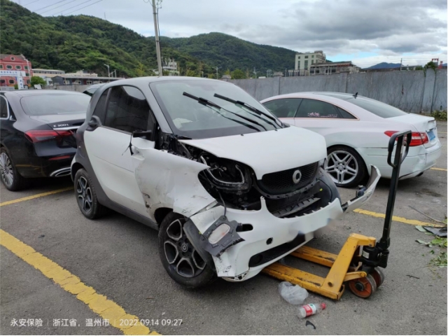 smartsmart fortwosmart fortwo 2018款 0.9T 66千瓦硬顶锋型版