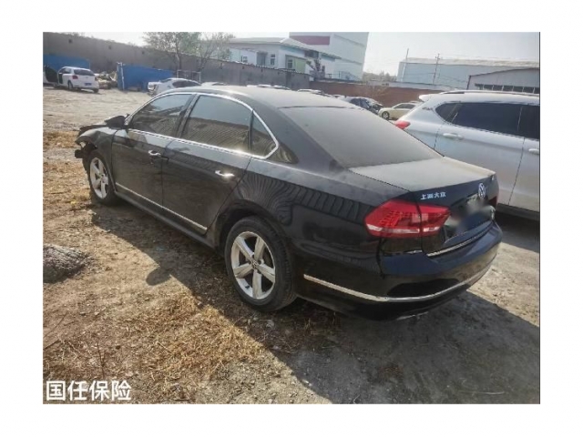大众帕萨特2013款 2.0TSI DSG御尊版
