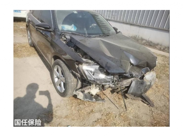 大众帕萨特2013款 2.0TSI DSG御尊版