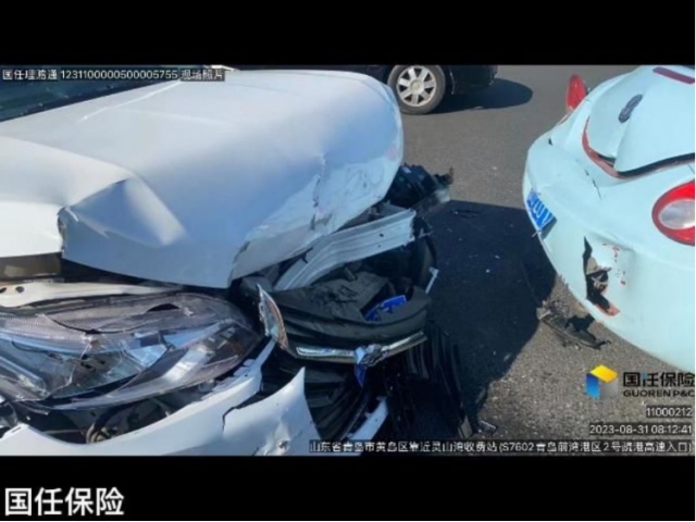 雪佛兰科沃兹